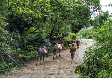 Hemkunt Sahib Pilgrimage Tour