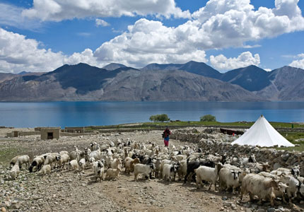 Leh-Ladakh Adventure – 11 Days from Chandigarh