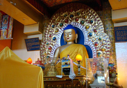 Dharamshala Explorer – 4 Days from Chandigarh