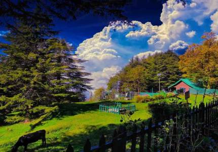 Chamba, Dalhousie & Khajjiar Adventure