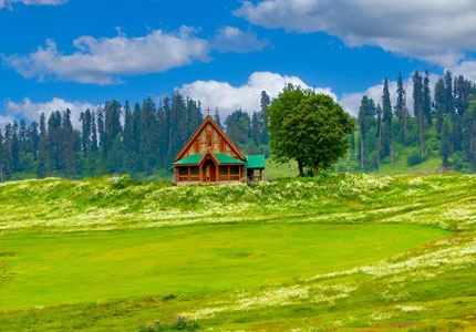 Srinagar Highlights Tour from Chandigarh