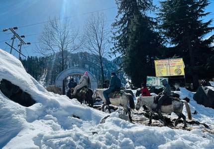 6-Day Adventure: Chandigarh to Kasol & Manali