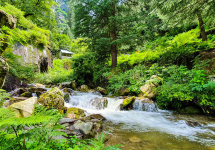 Chandigarh to Himachal Hills: 8-Day Journey