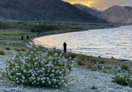 Himalayan Explorer: Leh-Ladakh Experience
