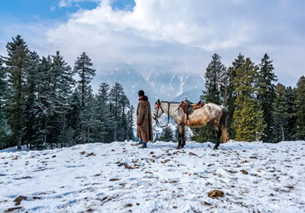 Himalayan Adventure: Jammu-Srinagar-Gulmarg-Pahalgam