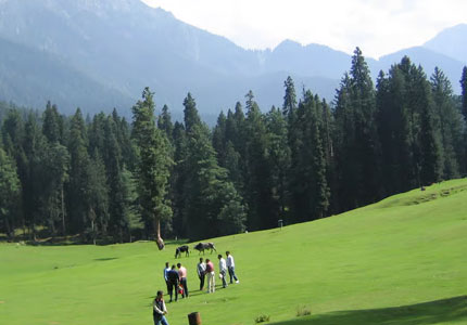 Srinagar Highlights Tour from Chandigarh