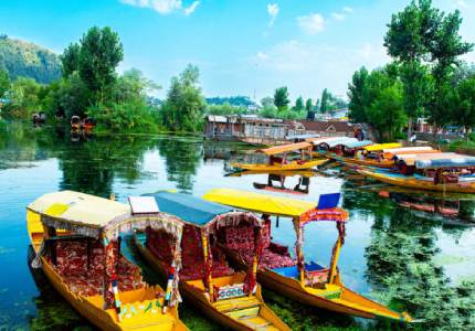 Patnitop & Srinagar Escape – 7 Days from Chandigarh