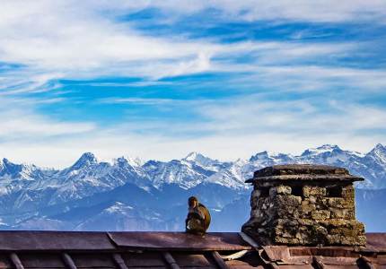 Chandigarh Dalhousie Dharamshala Shimla Manali 8 Days Tour